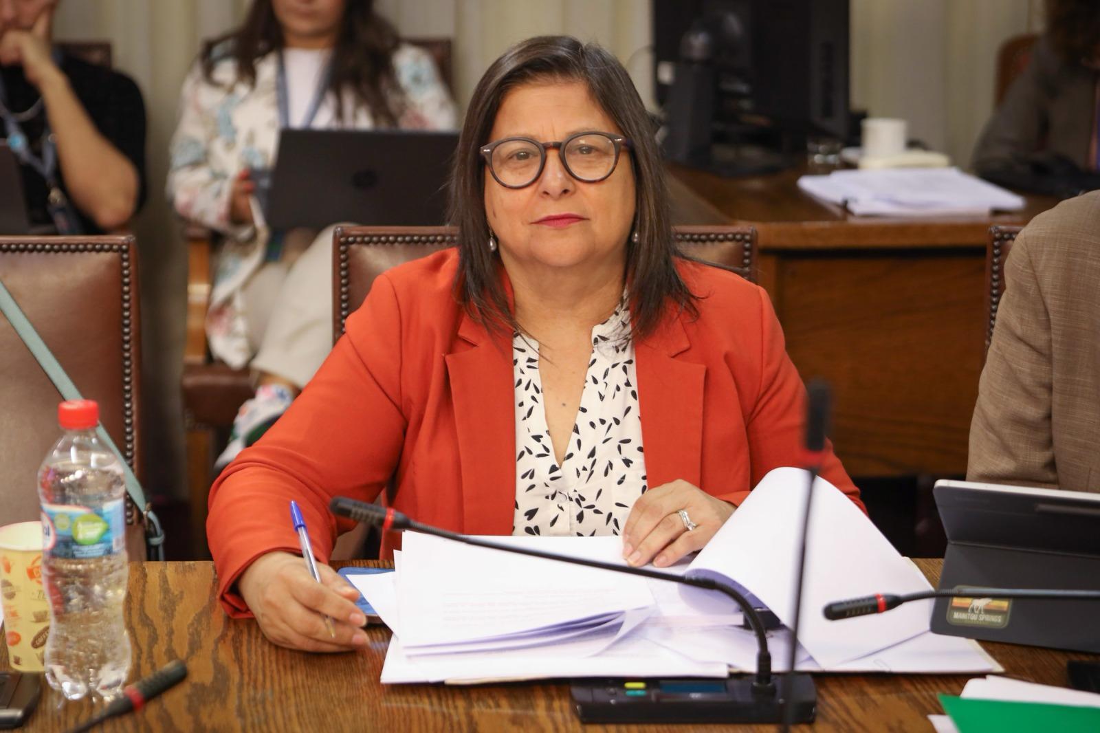  DIPUTADA MARCIA RAPHAEL LAMENTA FALTA DE ACCIONES CONCRETAS TRAS REUNIÓN CON EL MINISTRO DE AGRICULTURA Y REPRESENTANTES DEL AGRO EN AYSÉN