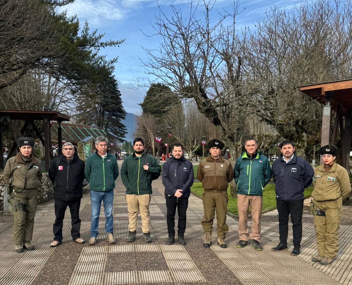 Decomisan más de 300 kilos de carne en Puerto Aysén, tras operativo de fiscalización interinstitucional