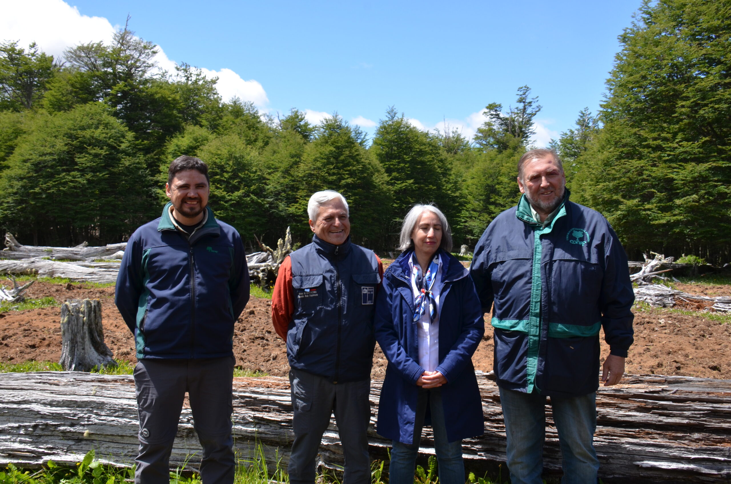Gobierno inicia Plan de Ordenación en predio fiscal donde se detectó tala ilegal de bosque nativo