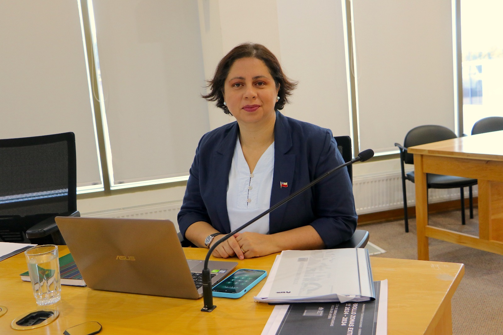 Consejera Andrea Ponce: “Valoro la aprobación del programa para los habitantes de la Provincia de Capitán Prat a Fosis, institución competente versus convenio de ProCultura que no era idónea”