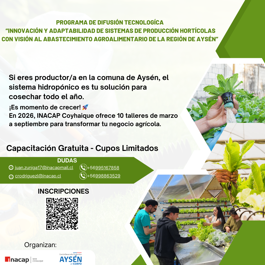 INACAP Coyhaique invita a productores de la comuna de Aysén a capacitarse gratuitamente en sistemas hidropónicos durante 2026