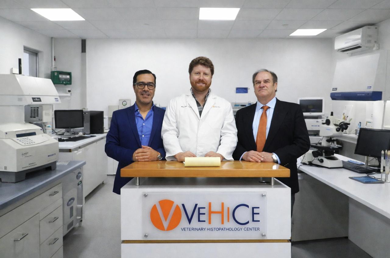 En AquaSur: Difundirán los alcances del uso de insumos vegetales en la salmonicultura