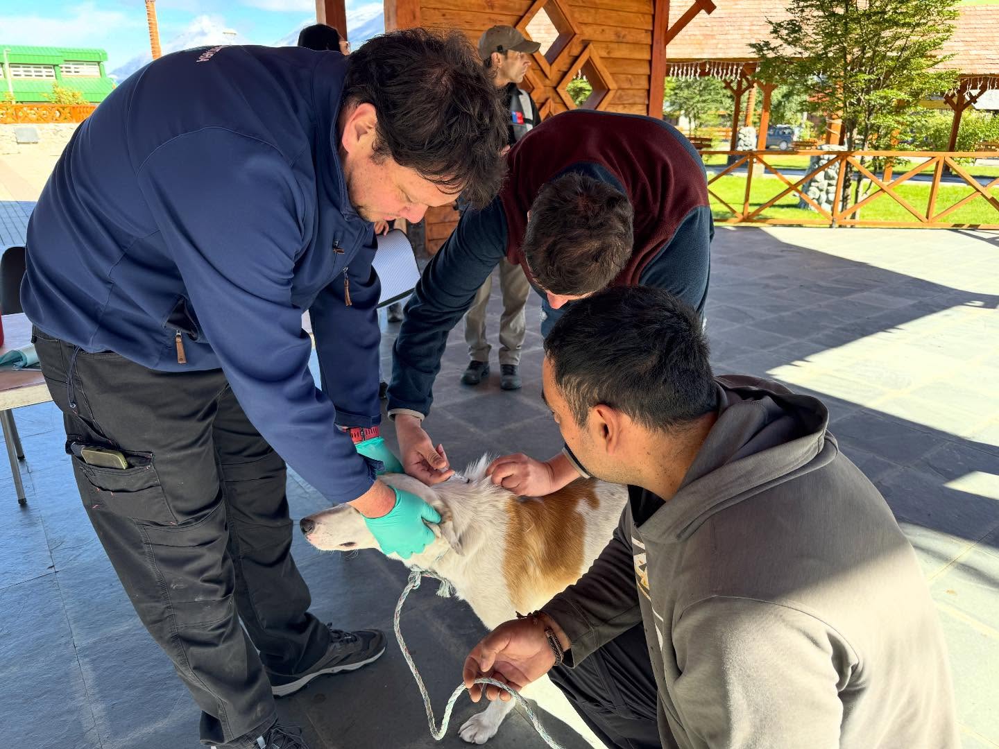 Salud reitera medidas de autocuidado frente a casos positivos de rabia en murciélagos